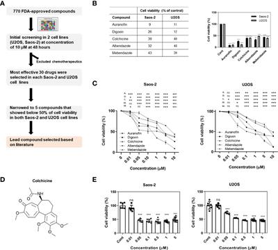 Colchicine as a novel drug for the treatment of osteosarcoma through drug repositioning based on an FDA drug library